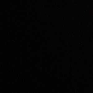 Meet your Posher, Lee